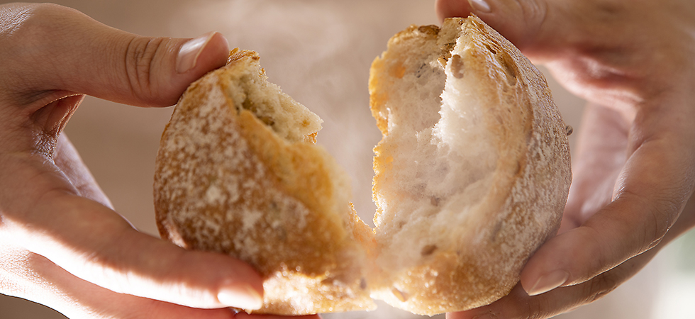 市場 つのパン 冷凍パン：パン工房